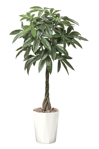 光の楽園 パキラ1.25 510R360 アートグリーン 人工観葉植物 光触媒|わくわく家具