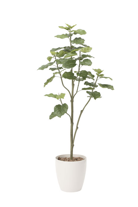 アウトレット送料無料 楽天市場 光の楽園 ウンベラータツリー1 8 805a430 年版 アートグリーン 人工観葉植物 光触媒 わくわく家具 公式店舗 Lexusoman Com