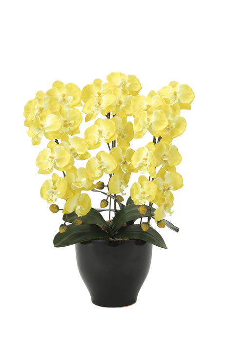 ✭日本製☆☆☆アートフラワー 胡蝶蘭セリースL 高さ66cm 光の楽園 光触媒 胡蝶蘭 造花の胡蝶蘭 胡蝶蘭セリースW 開店・開院・開業