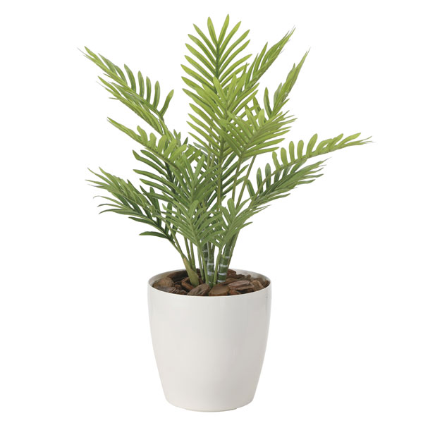 光の楽園 フレッシュパーム 2217A50 アートグリーン フェイクグリーン 人工観葉植物 光触媒