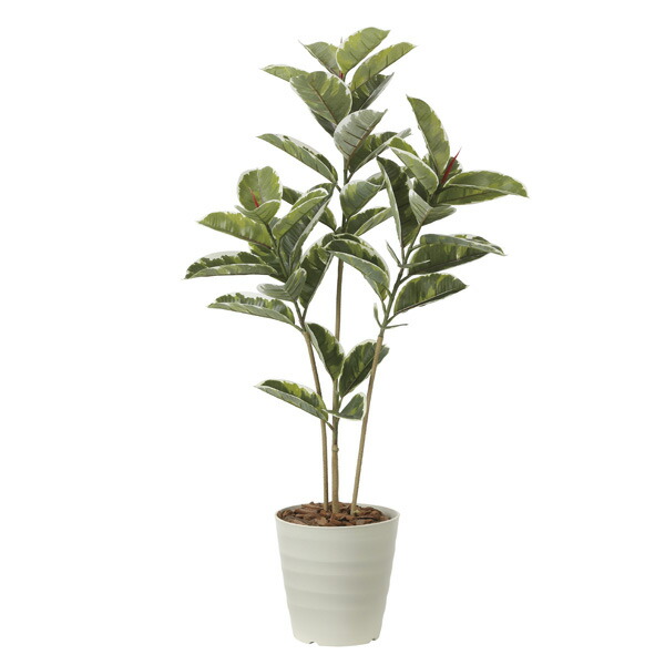 光触媒　人工観葉植物　フェイクグリーン　アムステルダムキング1.3 アムステルダムキング 180cm- フェイクグリーン専用通販サイト