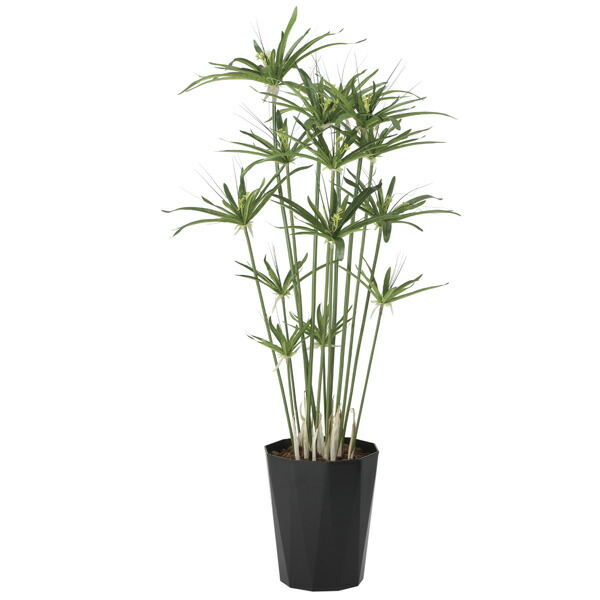 光触媒　人工観葉植物　ウォールグリーン　フェイクグリーン　アムステルラバー フェイクグリーン 光触媒 光の楽園 アムステルラバーキング1.8
