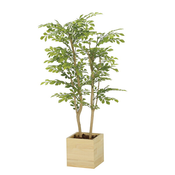光の楽園 ウッドボックスライトトネリコ１．０ 2306R280 アートグリーン フェイクグリーン 人工観葉植物 光触媒｜わくわく家具