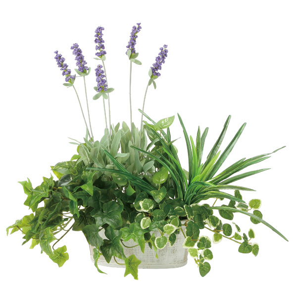 光触媒　人工観葉植物　ウォールグリーン　フェイクグリーン　アムステルラバー 光触媒 人工観葉植物 ウォールグリーン フェイクグリーン 壁掛け