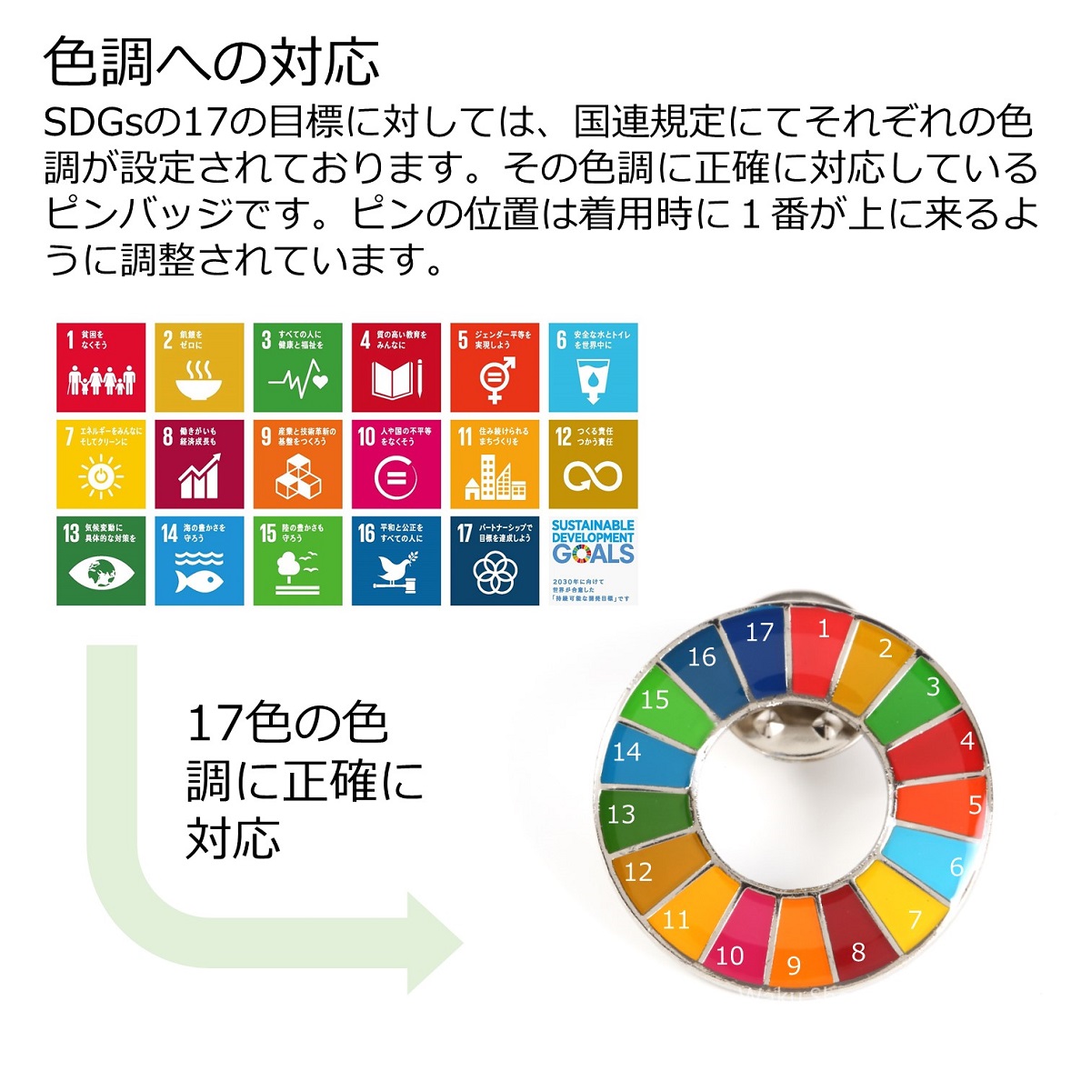 激安正規品 国連ガイドライン対応 SDGs ピンバッジ バッチ バッヂ 1個からまとめ買いまで 丸みタイプ100個