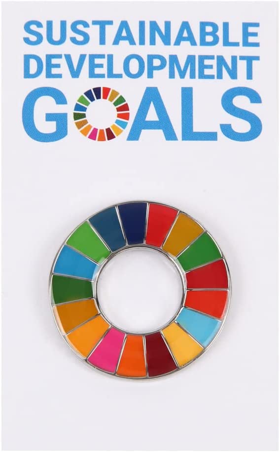 楽天市場】国連本部限定販売 SDGs ピンバッジ 日本未発売 UNDP 10個セット : Waku Waku Shop 楽天市場店