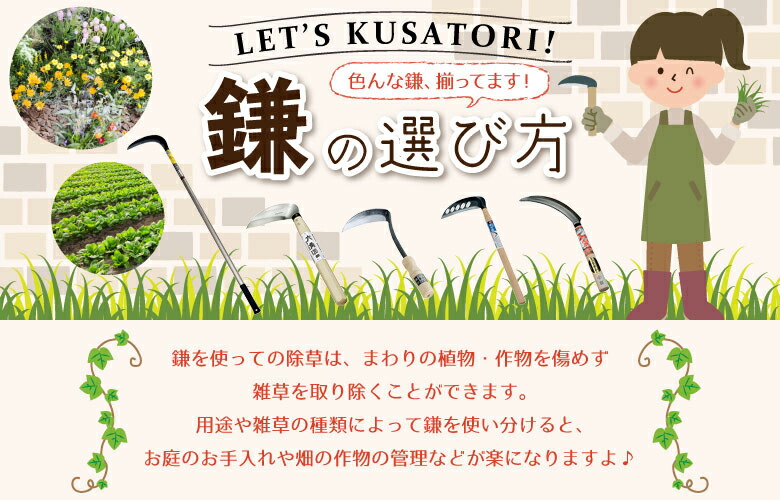 天六 アルミ柄藻刈鎌 鋸目 小 天六 ガーデニング 園芸 工具 農具 農業 金星 工具 道具 金星 キンボシ ワクイショップ 店藻刈り及び水際での除草に最適 海 川 湖 沼地等の様々な場所で使える伸縮式アルミポールを採用