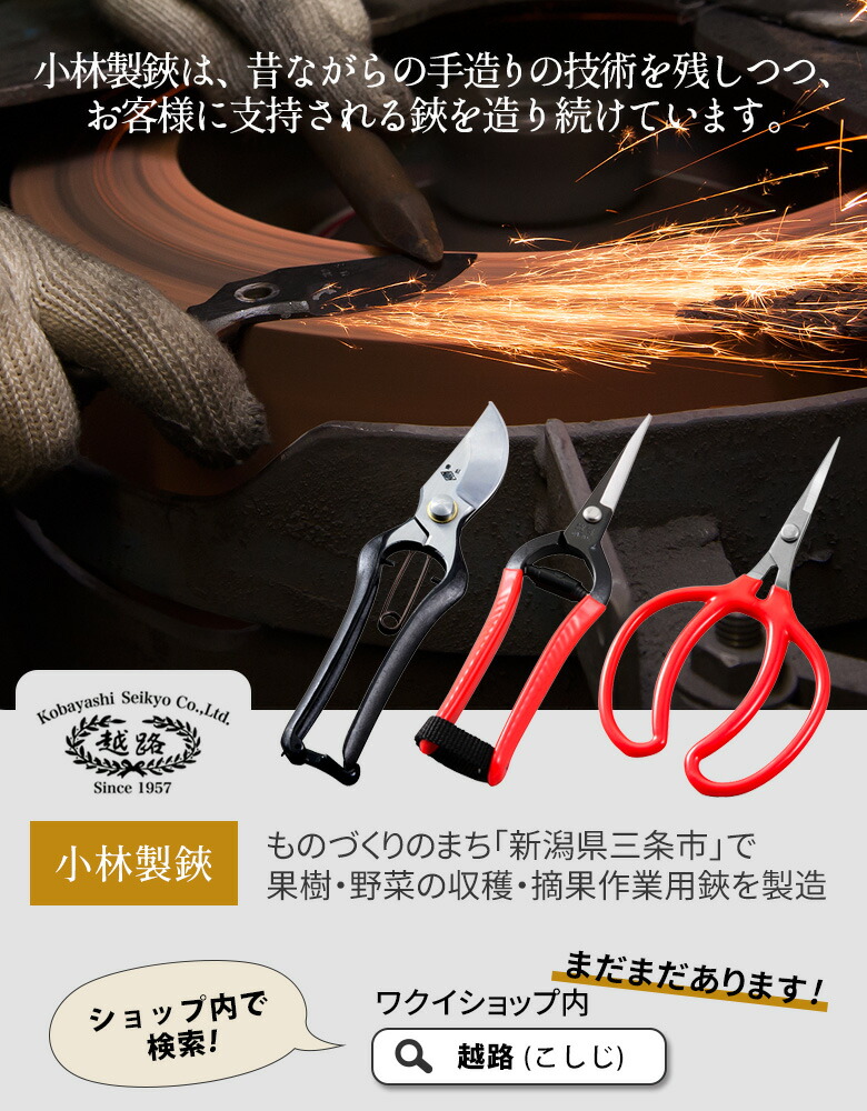 職人が仕上げた鍛造の刃は切れ味抜群 研ぎ直しサービス付き 打物 打物 剪定鋏 箱入り 225mm B 3 採果 剪定用具 園芸用品 越路 庭園 ハサミ 農家向けハサミを作り続けてきた老舗の逸品 収穫 ガーデニング用品 園芸鋏 軽量鋏 女性用 軽い 農業 摘花 採果