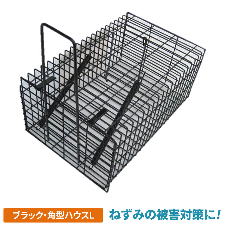 今日の超目玉】 ウルトラ捕獲器 吊り餌フック式（外扉タイプ）ブラック