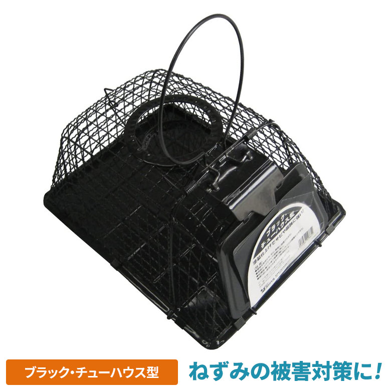楽天市場】ネズミZ 固形300g シマダ SHIMADA 固形忌避剤 ねずみ 楽天市場】ネズミZ 固形300g シマダ SHIMADA 固形忌避剤 ねずみ