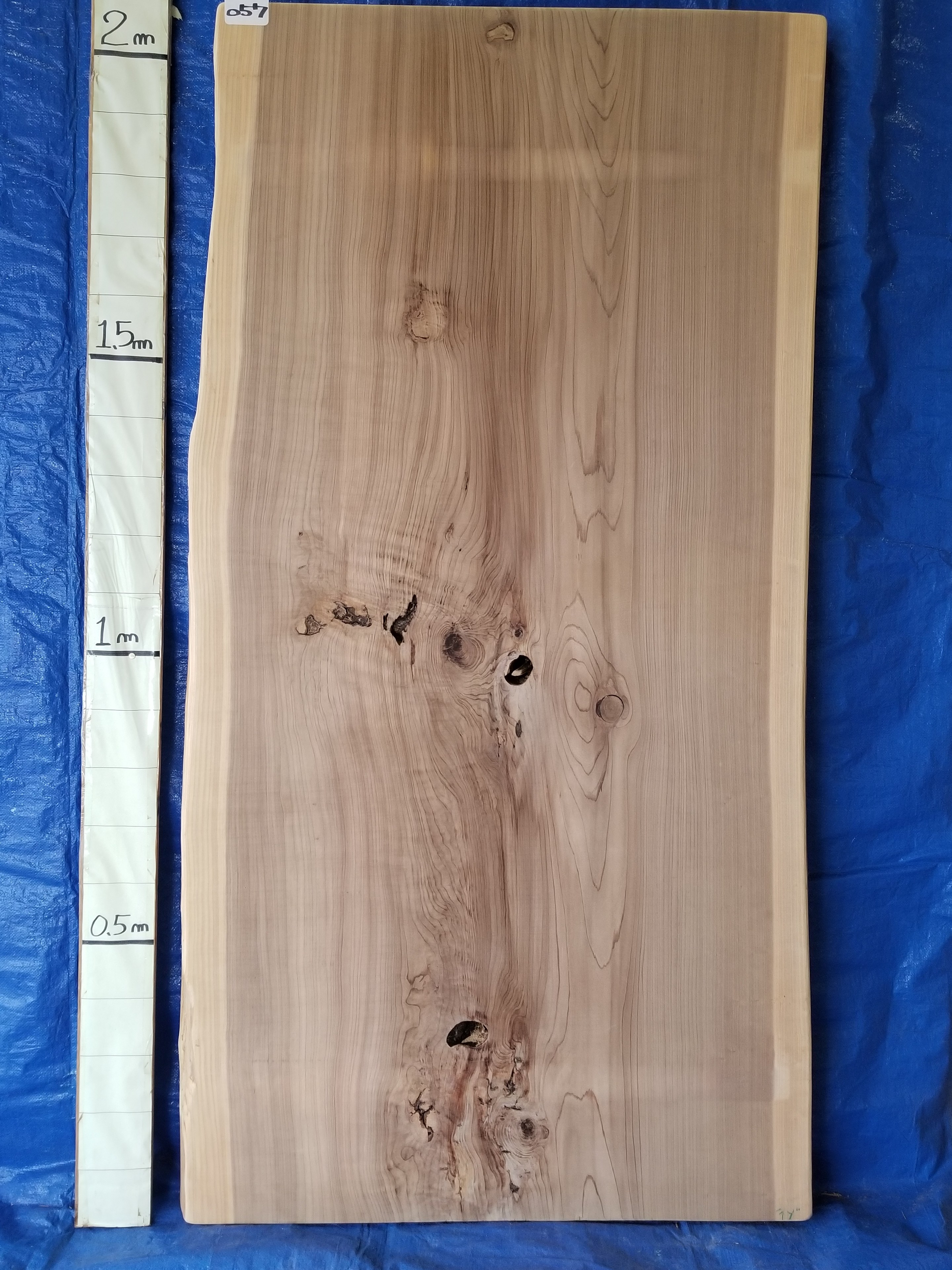 楽天市場】一枚板 杉板 耳付荒材 長2300mm×厚75mm×幅600mm 18020273 Δ