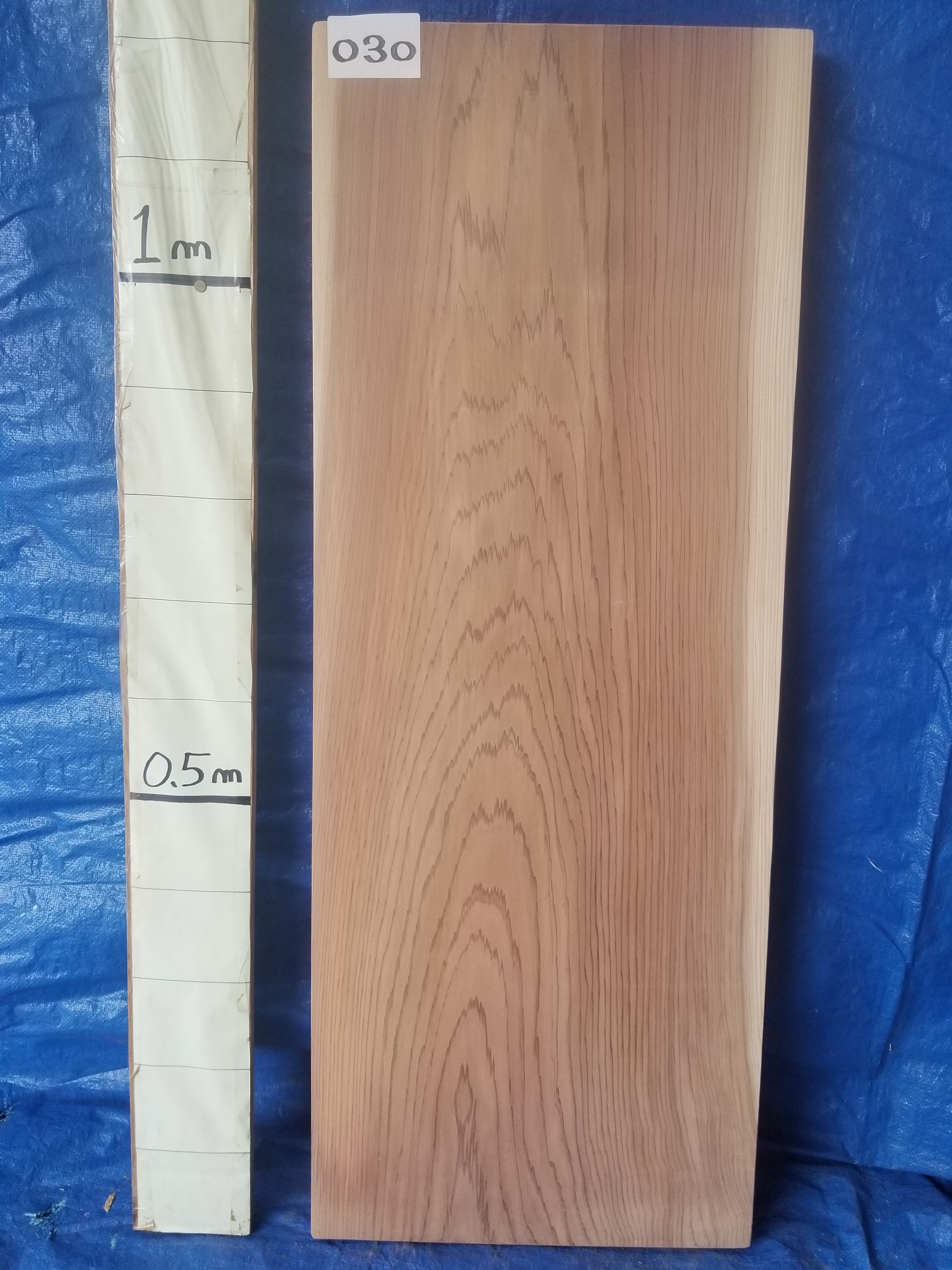 楽天市場】【無垢】国産 ウォールナット材(くるみ) カウンター天