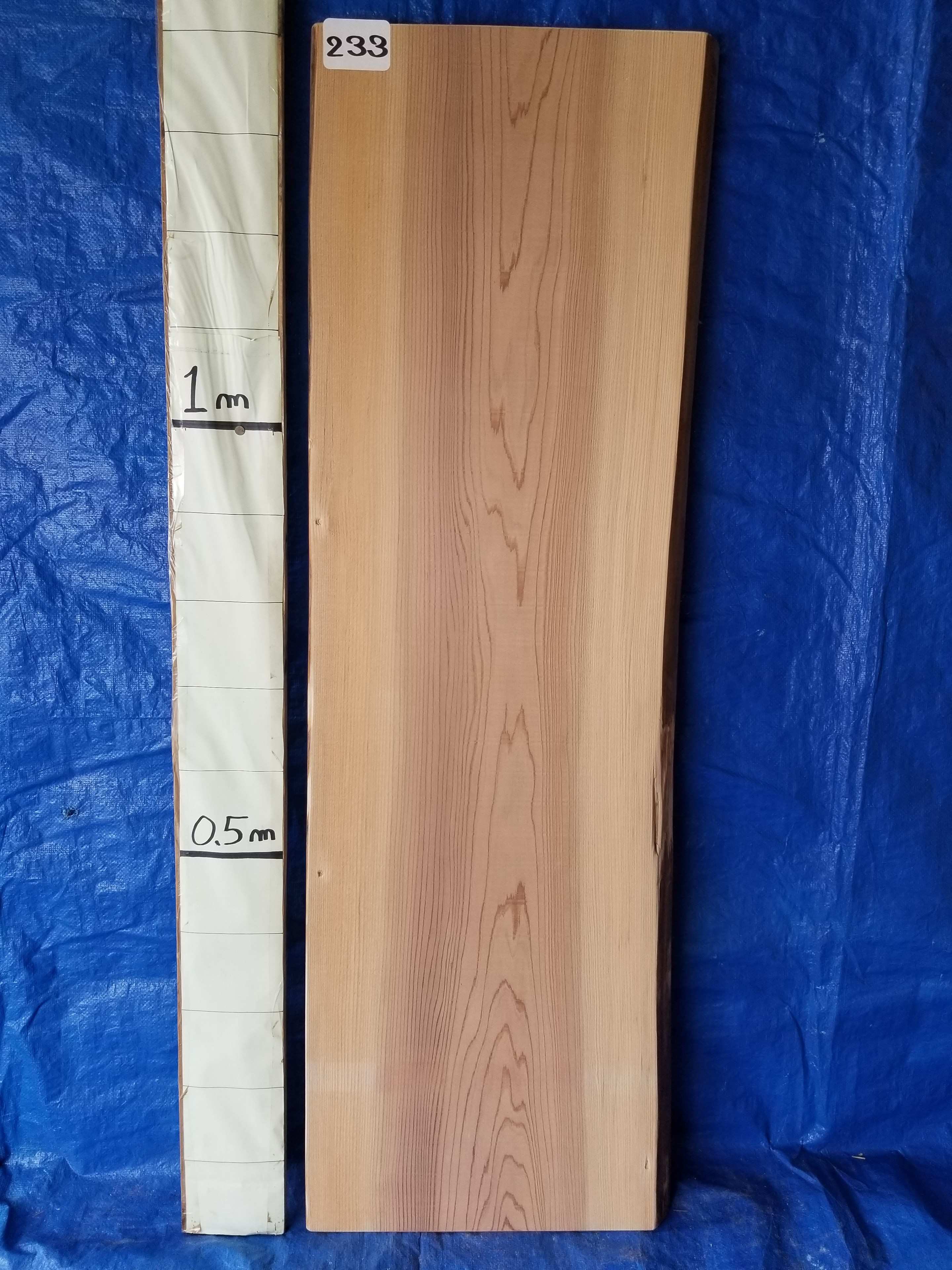 楽天市場】天然杉 一枚板 天板 無垢材 厚4.4～4.5cm×巾52.5～47.5cm×長