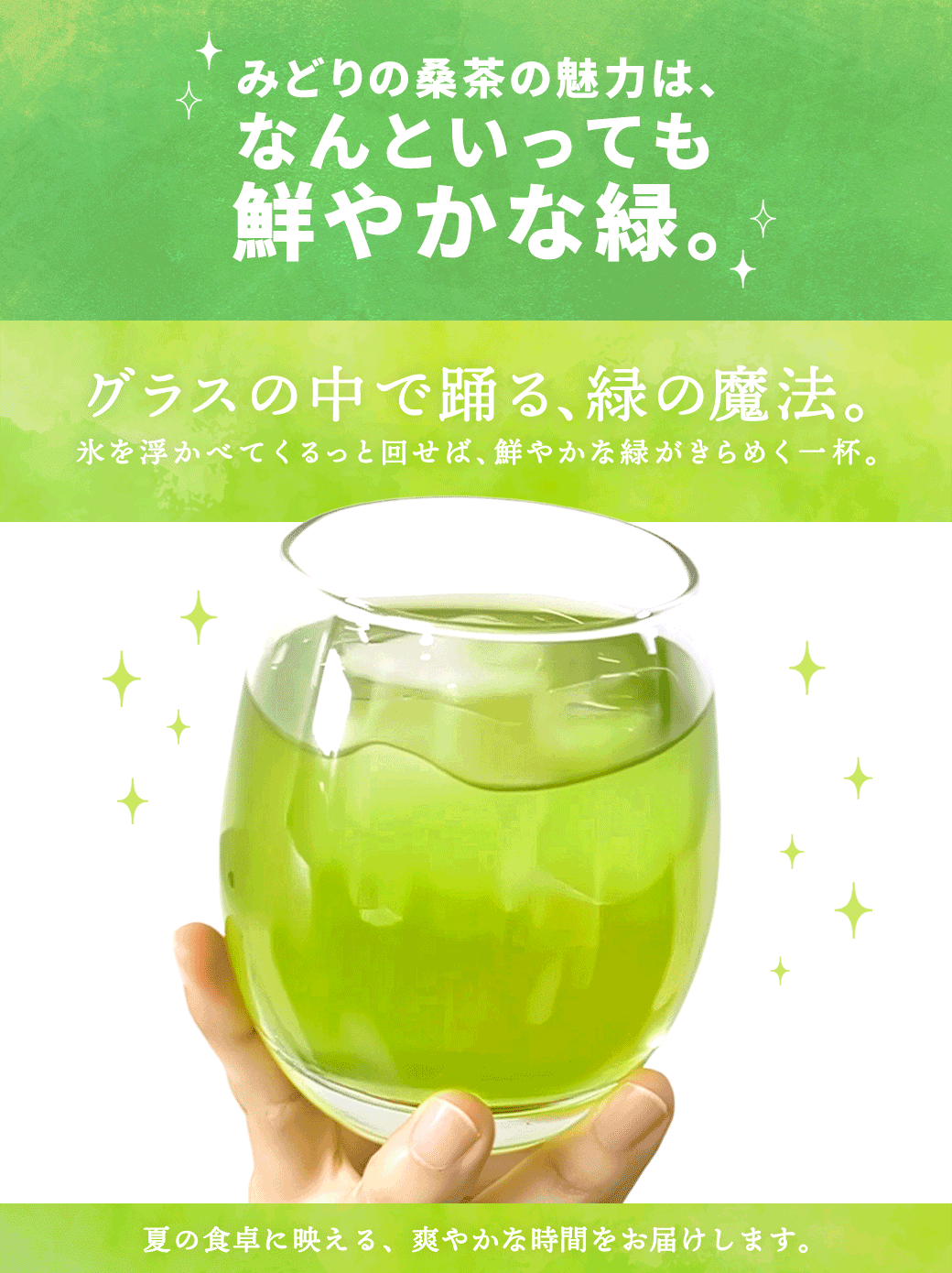【総合1位★7月10日 21時~ 5時間限定 半額 】( 有機 みどりの桑茶 100包 ) 送料無料 わくわく園 有機JAS 国産 桑 桑茶 ...