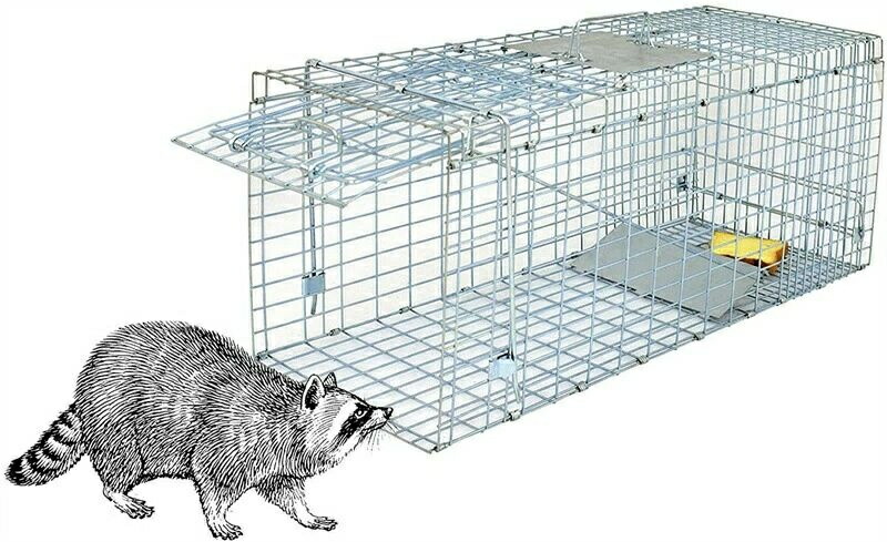 毛の荒物用取り押さえる器 アニマルトラップ 踏み段式 のら猫 迷子猫 小毛の荒物 保護すること 害獣追い出し 農学作り物保護すること 飾り気の無い精神的な統合 据え付ける