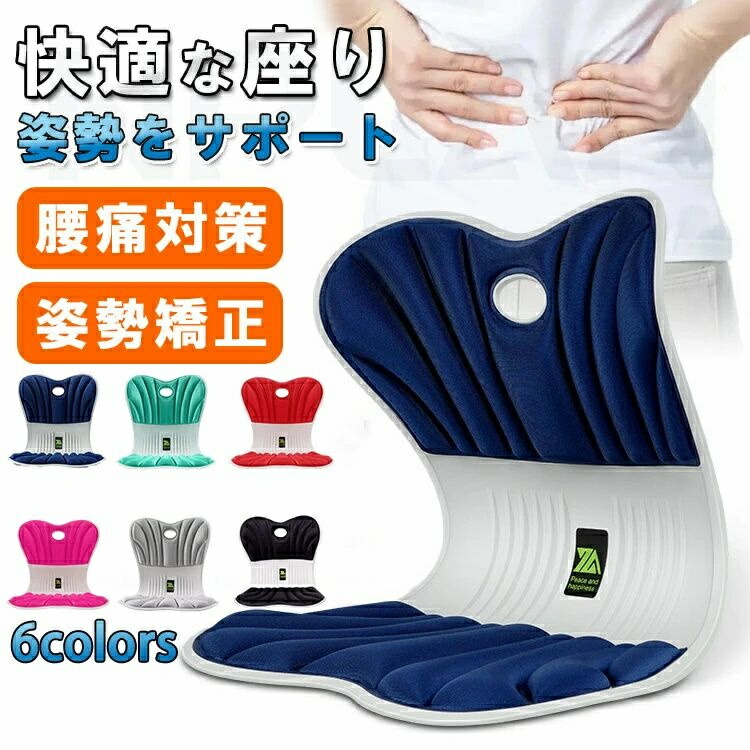 姿勢が良くなる 椅子 姿勢矯正 イス 姿勢サポートチェア 骨盤矯正 立てる 姿勢 よくなる 低反発 クッション 姿勢サポートシート 姿勢補正 猫背矯正 腰 肩こり 肩凝り 歪み ゆがみ 解消 背もたれ チェア 座椅子 デスクワーク サポーター 持ち運び プレゼント ギフト