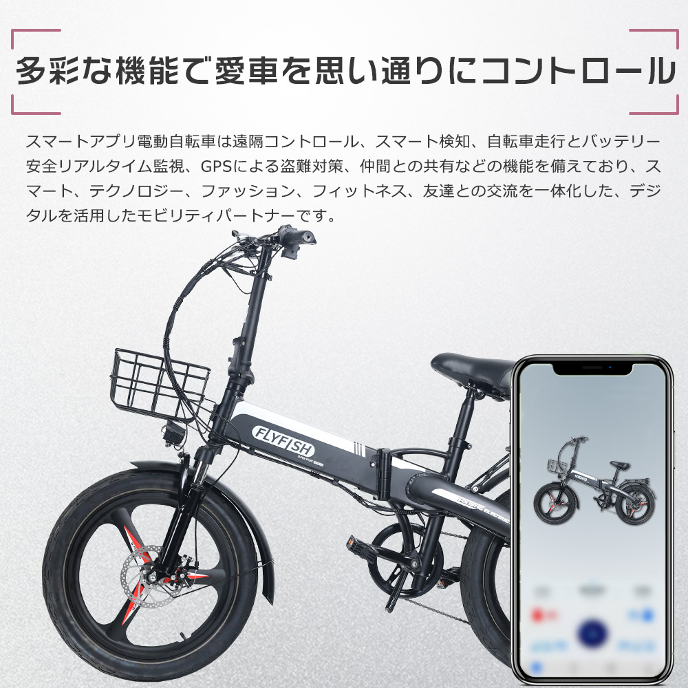 公道走行可能 電動自転車 電動アシスト自転車 レジャー ミニベロ