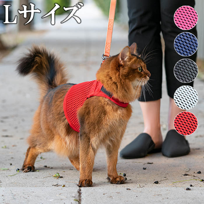 ハーネス 猫 可愛い おしゃれ Sleepypod Martingale Cat Harness スリーピーポッド マーチンゲールキャットハーネス ネコ 胴輪 首輪lサイズ 目安体重 10kg ユニークで柔らかく 通気性の良いメッシュのウォーキングハーネスアメリカ産まれの洗練された犬具 ペット先進国