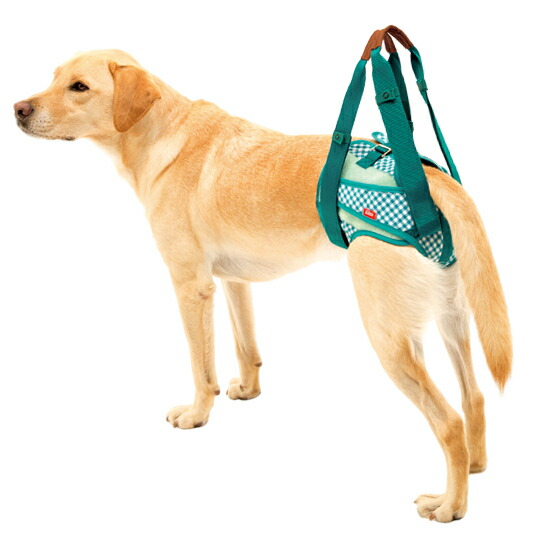 犬 御拾いかばい立て 介護馬具 LaLaWalkしり押しズボン下 庭園[緑であること照合のしるし] SS/S/M/L \u003cBR\u003e\u003cBR\u003e犬 秘密捜査員 飼い犬 老犬 介護装置 ほっつき歩く 中型 大型 ドッグハーネス 介護用 かばい立て物の具 馬具 先んじる 御拾いかばい立て 胴輪 プードル ラブラドール コリー 牧羊犬 シバ神 犬用 介護