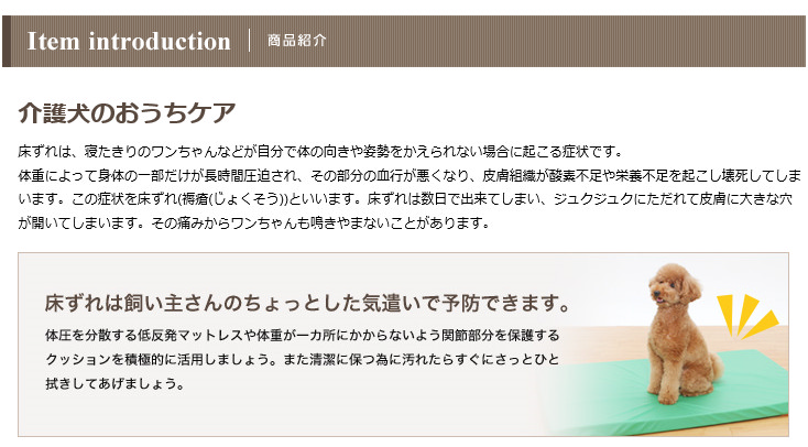 介護ベッド イヌ ネコ いぬ 床ずれ防止 防水マットレス グリーン Lサイズ 中型 犬 ペット 寝たきり 犬 名入れ ボーダーコリー 小型 老犬 介護用品 介護用 ベッド マット クッション ラブラドール コリー ビーグル シバ 犬用 介護 犬ステッカー介護ハーネス ワラ犬3層の