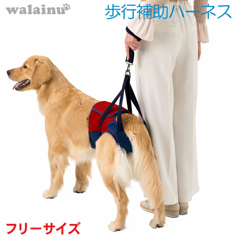 犬 御拾いかばい立て馬具 介護 馬具 LaLaWalk Hip 大型犬用 スカーレットメッシュ \u003cBR\u003eいぬ 飼い犬 老犬 介護装置 ほっつき歩く 大型 ドッグハーネス 介護用 かばい立て物の具 馬具 先んじる 御拾いかばい立て 胴輪 ラブラドール  牧羊犬 大きめシバ神 犬用 介護