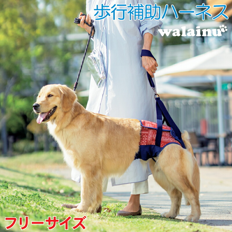 犬 御拾いかばい立て馬具 介護 馬具 LaLaWalk Hip 大型犬用 ペイズリー \u003cBR\u003eいぬ 飼い犬 老犬 介護装置 ほっつき歩く 大型 ドッグハーネス 介護用 かばい立て物の具 馬具 先んじる 御拾いかばい立て 胴輪 ラブラドール  牧羊犬 大きめシバ神 犬用 介護