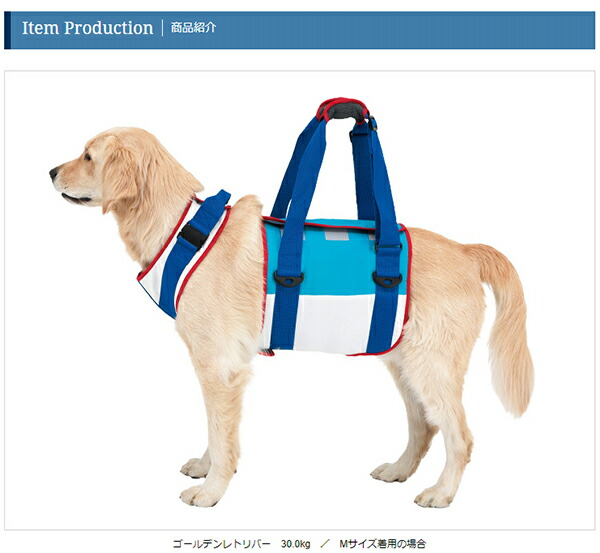 楽天市場 犬 歩行補助ハーネス 介護 ハーネス 胴輪 Lalawalk ララウォーク 大型犬用 スカイ Ss S M L Ll いぬ イヌ 老犬 介護用品 散歩 大型 ドッグハーネス 介護用 補助器具 ハーネス リード 歩行補助 胴輪 ボクサー シベリアンハスキー ラブラドールレトリーバー 犬用