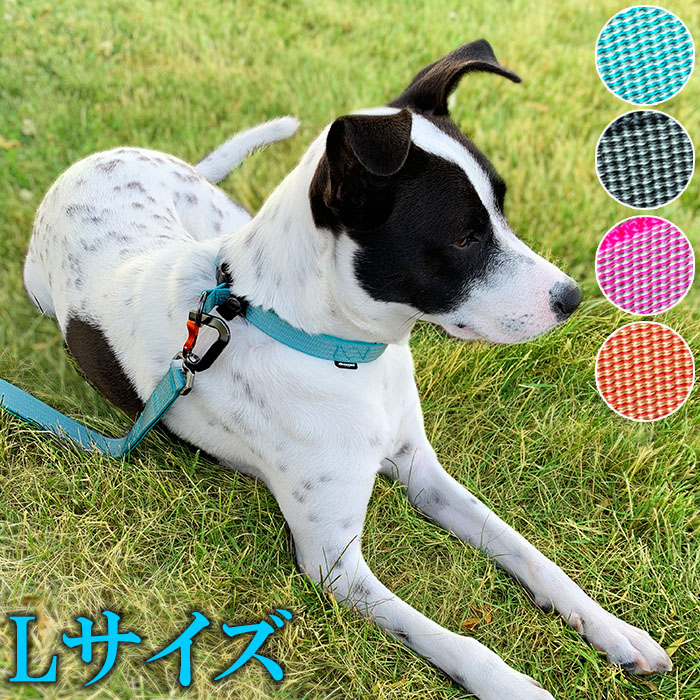 犬用首輪 中型犬 大型犬 首輪 Sleepypod Locking Martingale Collar スリーピーポッド  ロッキングマーチンゲールカラーLサイズ 幅2.5cm 首回り50〜71cm 超人気新品