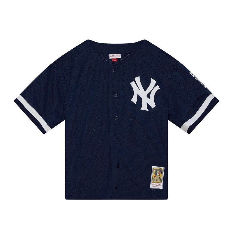 レア ニューヨークメッツ マイクピアザユニフォーム XL NIKE MLB マイク・ピアザ ニューヨーク・メッツ ユニフォーム