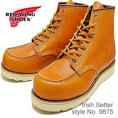 irish setter 9875