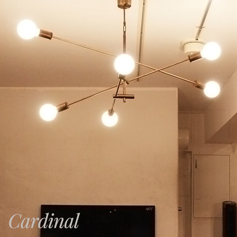 [1000円OFFクーポン配布中]照明 ライト インテリア おしゃれ diclasse ディクラッセ LED 電球 Cardinal pendant lamp カーディナル ペンダントランプ アンティークブラウン つりさげ ペンダントライト ライト ランプ 天井 シーリングライト 天井照明 JQ