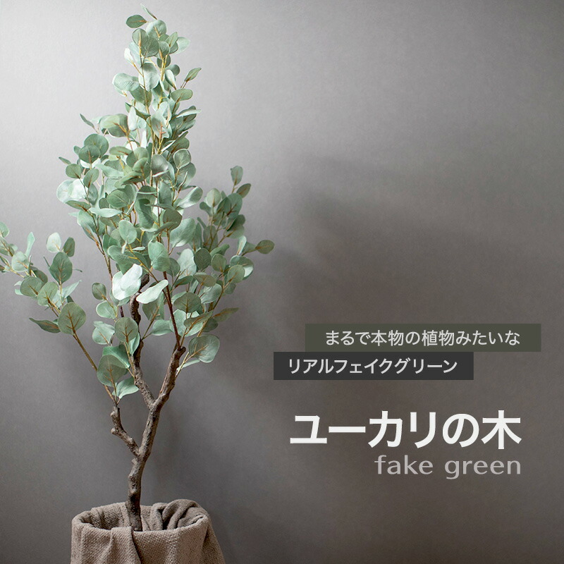 [1000円OFFクーポン配布中]フェイクグリーン リアル人工観葉植物 ユーカリの木 C-F-1｜壁際貴族 wall