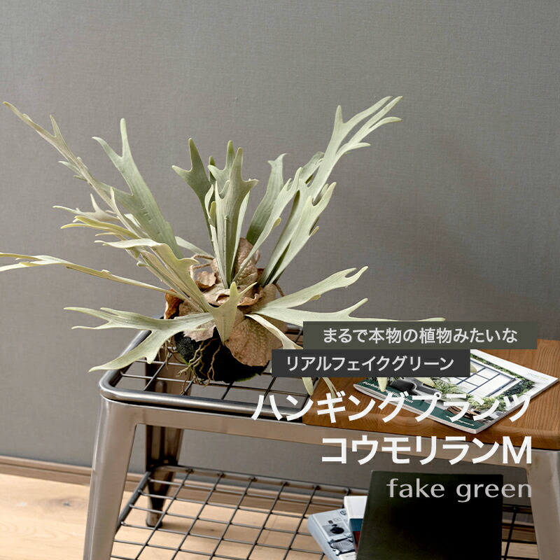 百貨店大売り出し押さえるSALE！ MAX50％OFF
