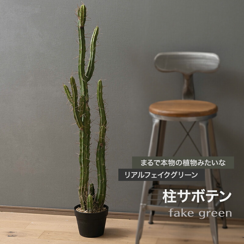 百貨店大売り出し押さえるSALE！ MAX50％OFF