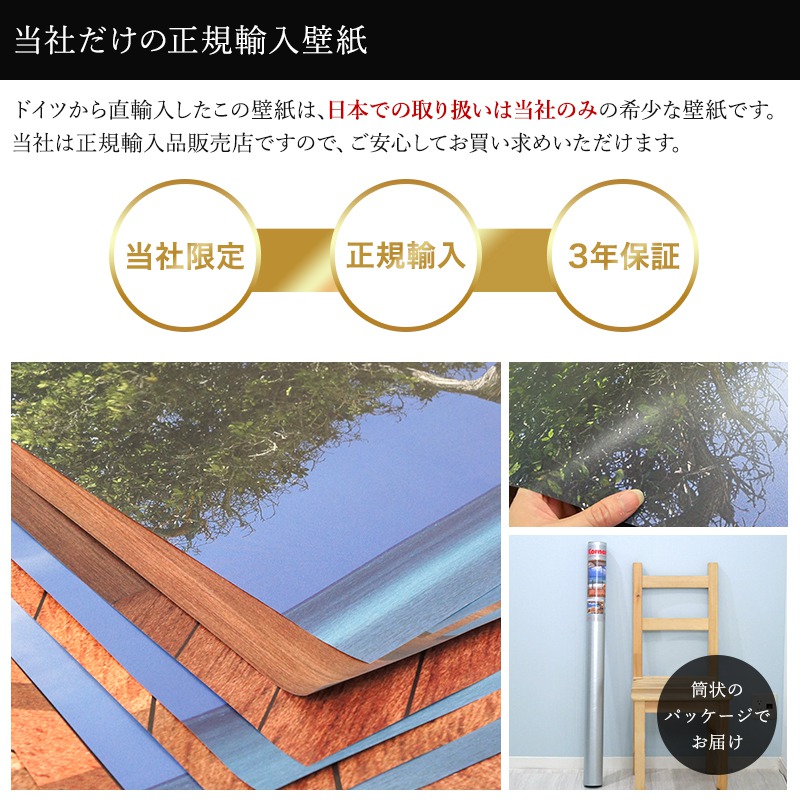 全国組立設置無料 壁紙 のりなし のり付き クロス 輸入壁紙 海外 紙 店舗 内装 撮影 ドイツ製 海 砂浜 白浜 自然 景色 風景 自然 El Paradiso エル パラディソ 8 101 Diy 補修 店舗 内装 リビング トイレ 玄関 リフォーム 撮影用 ウォールペーパー