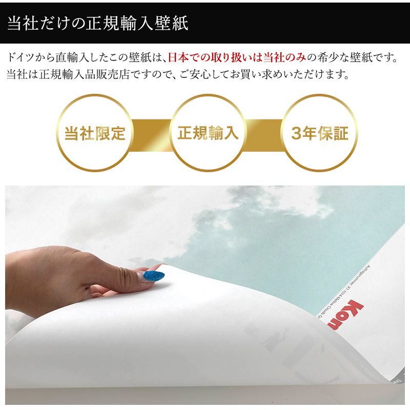 壁横紙 のり付添い 格好のいい 裂地 インポート壁紙 紙 ショップ 内装 映画化 ドイツ製 はがせる 虚像ターゲット 水彩画 片雲 淡彩 メロウクラウド X7 1014 Csz Residenza Latorre Com