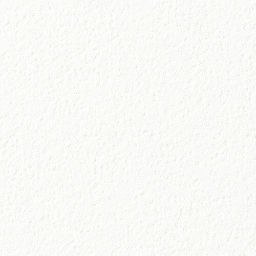 サンゲツ/生のりつき壁紙・差し交わす FE76081【10M巻】【貨物輸送込み必要経費】