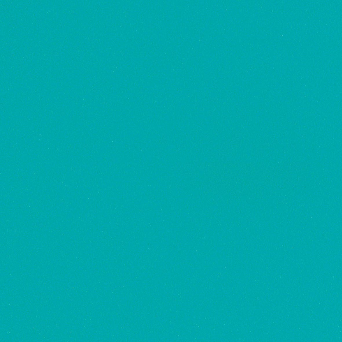 リリカラ/生のりつき壁紙・差し交わす LW592【10M巻】【貨物輸送込み必要経費】
