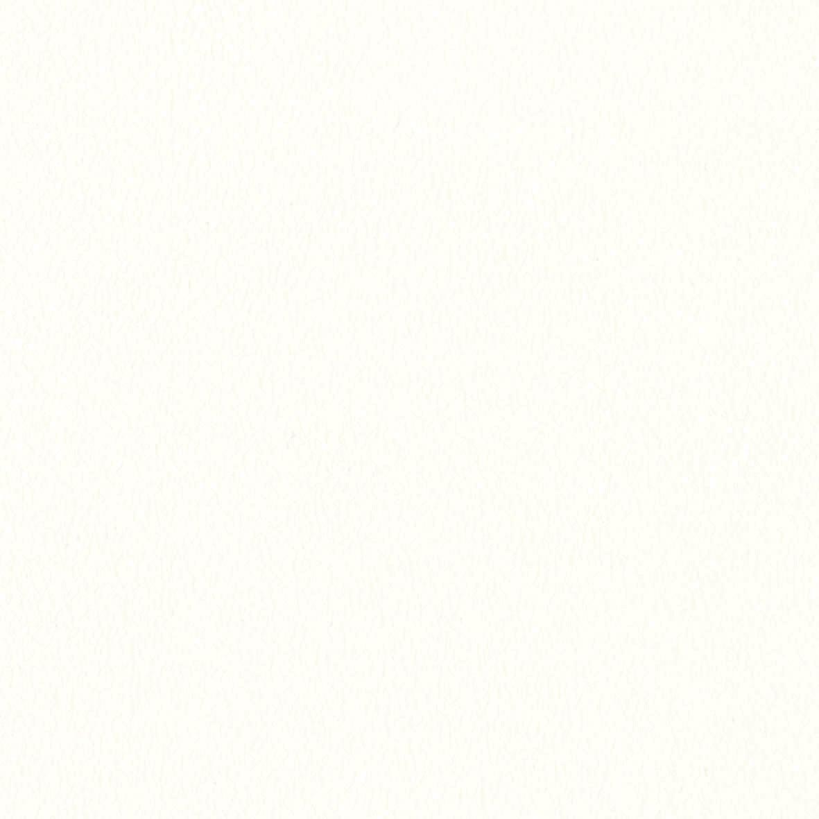 リリカラ/生のりつき壁紙・差し交わす LW654【10M巻】【貨物輸送込み必要経費】