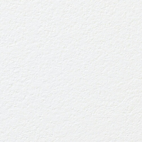 サンゲツ/生のりつき壁紙・差し交わす RE55411【10M巻】【貨物輸送込み必要経費】
