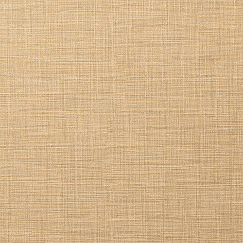 ルノン/生のりつき壁紙・差し交わす RH9137【10M巻】【貨物輸送込み必要経費】