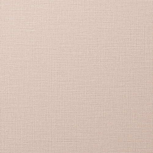 ルノン/生のりつき壁紙・差し交わす RH9138【10M巻】【貨物輸送込み必要経費】
