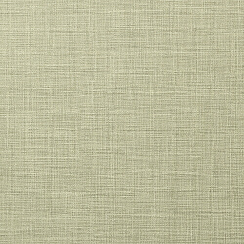 ルノン/生のりつき壁紙・差し交わす RH9141【10M巻】【貨物輸送込み必要経費】