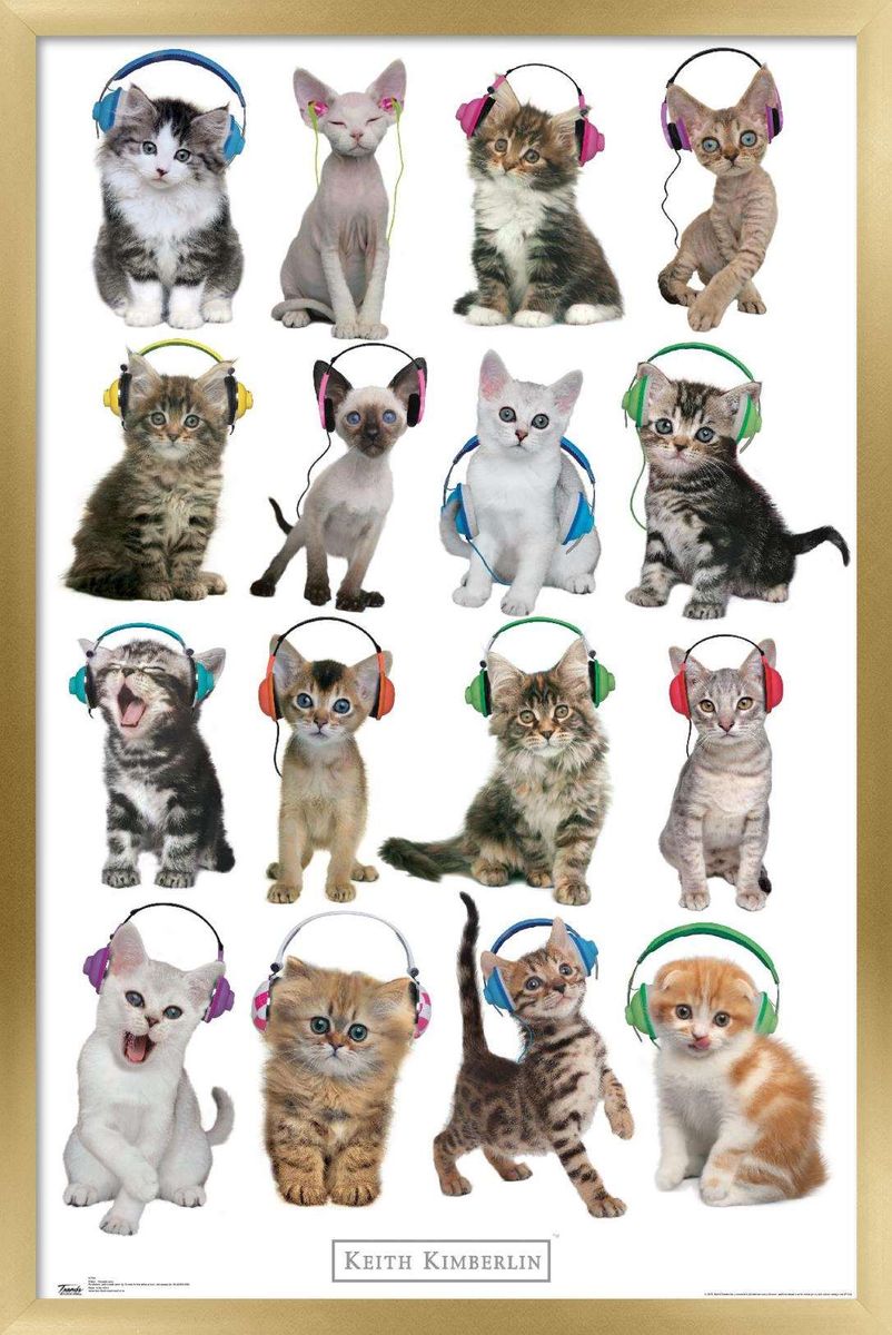 買い誠実 送料無料 キース キンバリン 子猫たち ヘッドフォン壁ポスター 22 375 X 34 フレーム付き 海外通販 Keith Kimberlin Kittens Headphones Wall Poster Framed Fucoa Cl