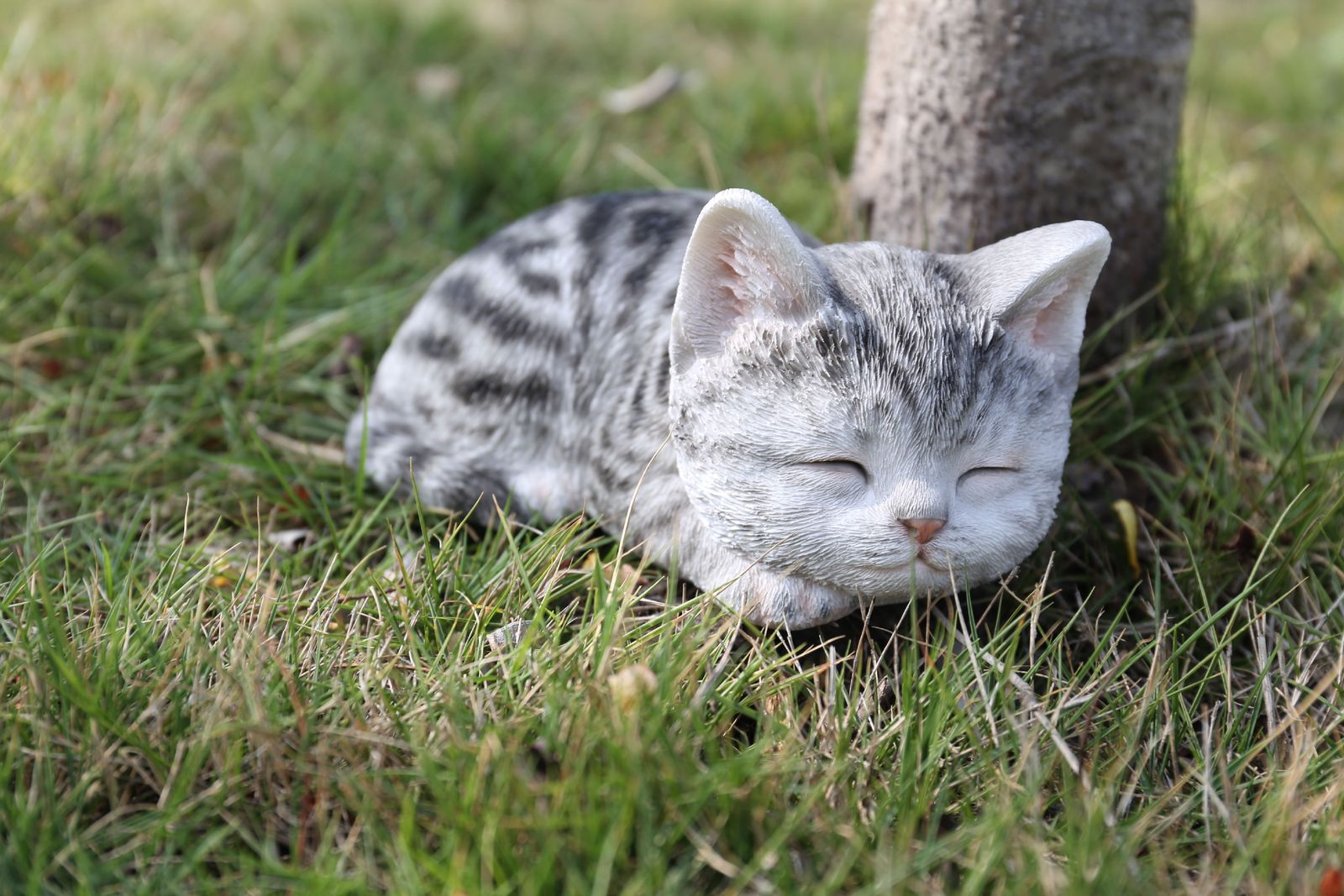 送料無料 グレー タビー 子猫の睡眠 海外通販 Grey Tabby Kitten Sleeping 記念日