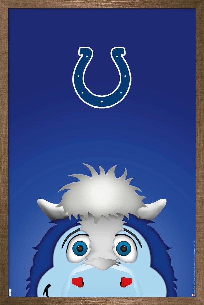 送料無料 Nfl Indianapolis Colts S Preston Mascot Blue Wall Poster 14 725 X 22 375 Framed 海外通販 当店限定販売