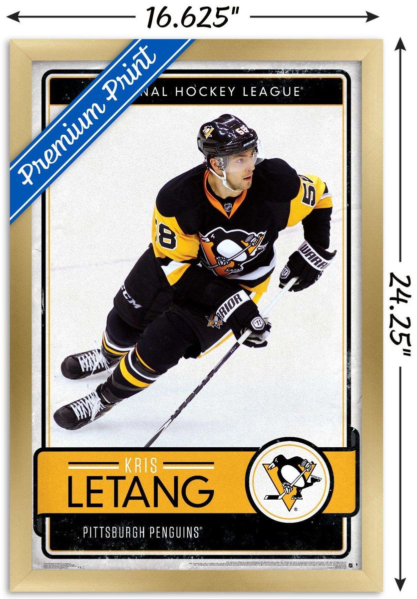 送料無料 NHL ピッツバーグ ペンギンズ - クリス レタン 贈答 16 壁掛けポスター 14.725