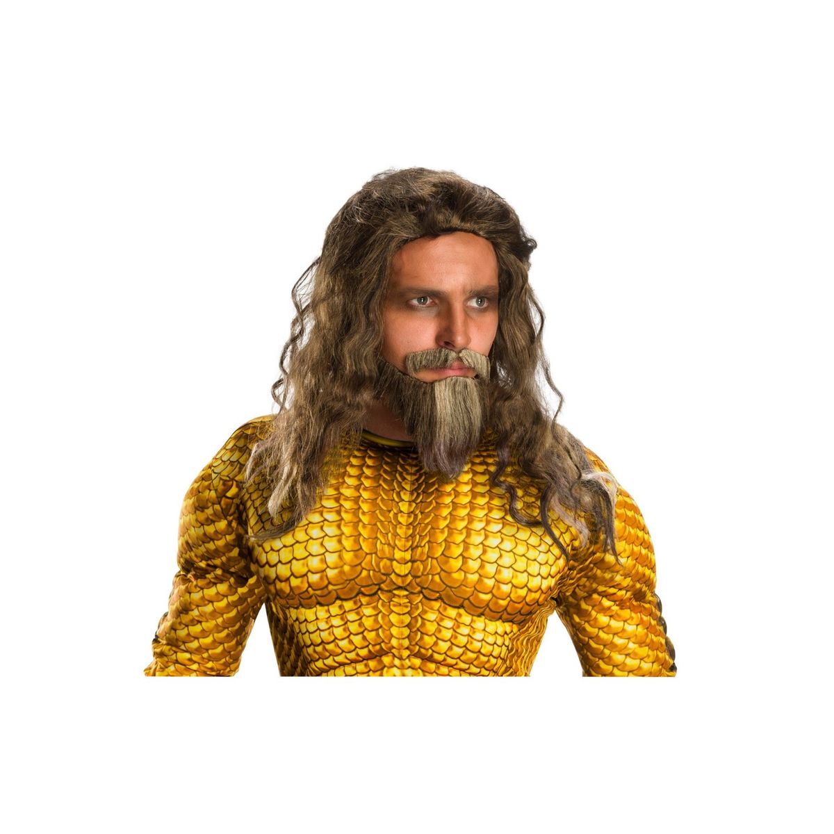 現品 税込 送料無料 Aquaman 映画 大人 ヒゲとウィッグのセット Halloween ハロウィン コスチューム コスプレ 衣装 仮装 海外通販 Movie Adult Beard and Wig Set paulhuntingford.com paulhuntingford.com