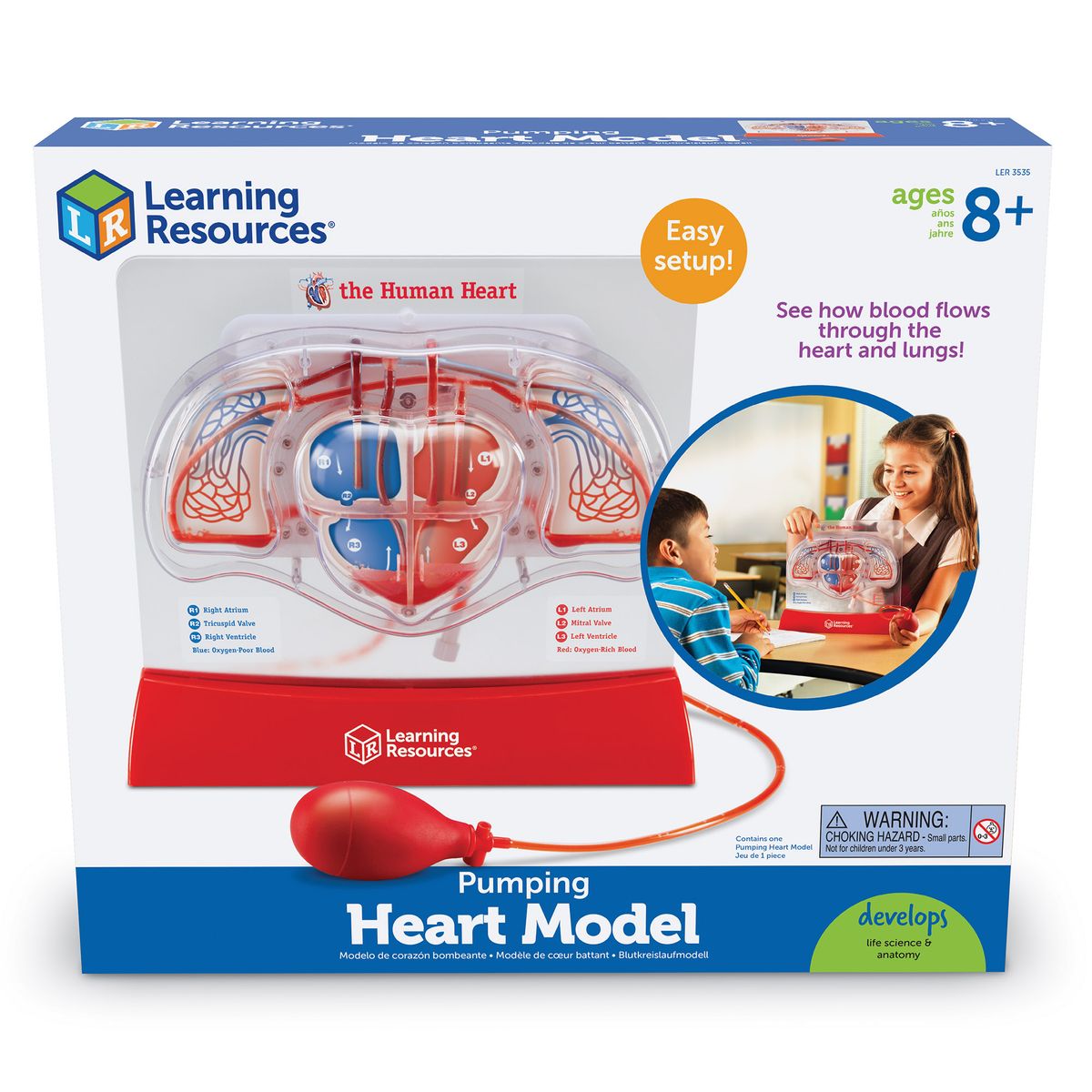 [送料無料] Learning Resources ポンプ式心臓モデル - 1個, 3年生以上｜8歳以上用 教育科学キット, 理科教育用品, 理科教育用品 [海外通販] | Learning Resources Pumping Heart Model - 1 Piece, Grades 3+ | A