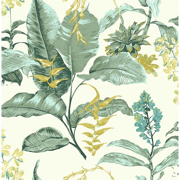 [RDY] [送料無料] Kenneth James マウイ・グリーン・ボタニカル壁紙 [海外通販] | Kenneth James Maui Green Botanical Wallpaper